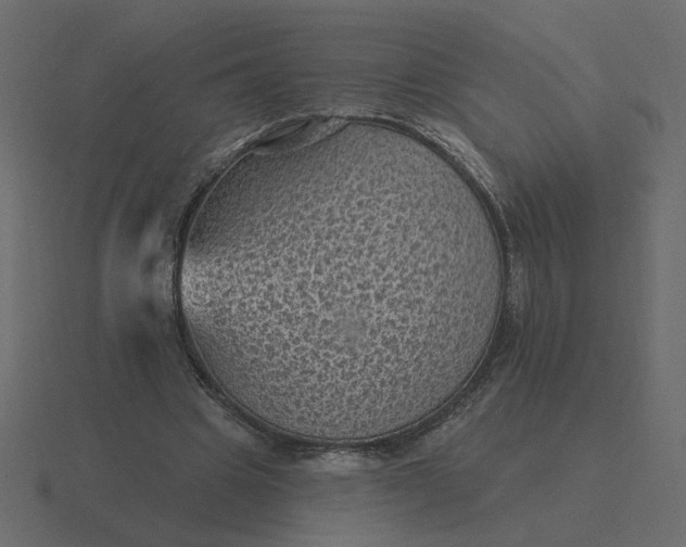 X0000116610441200912241736