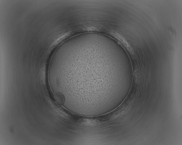 X0000116610442200912241736