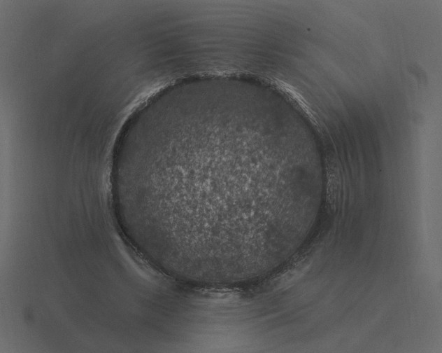 X0000116610443200912241736