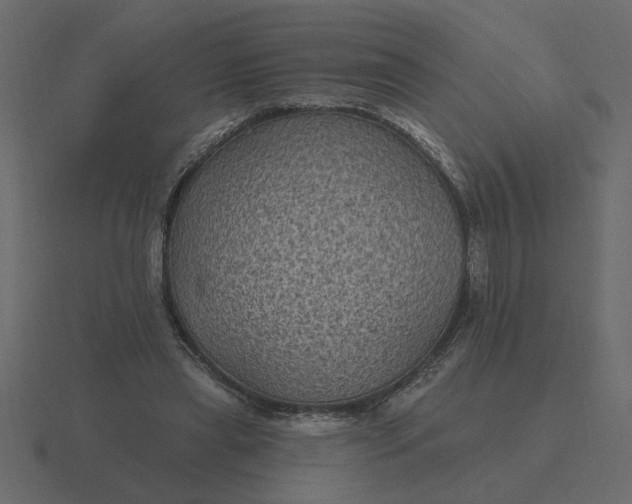 X0000116610445200912241736