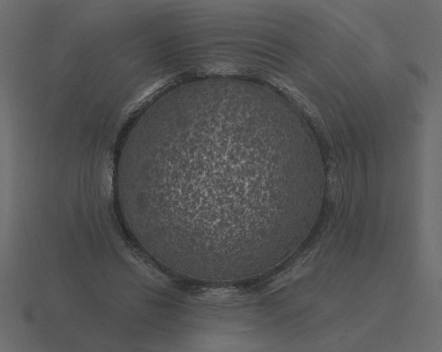 X0000116610446200912241736