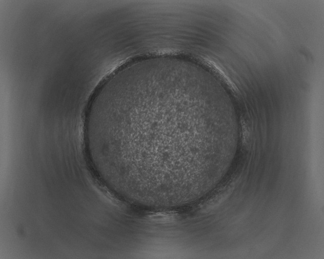 X0000116610447200912241736