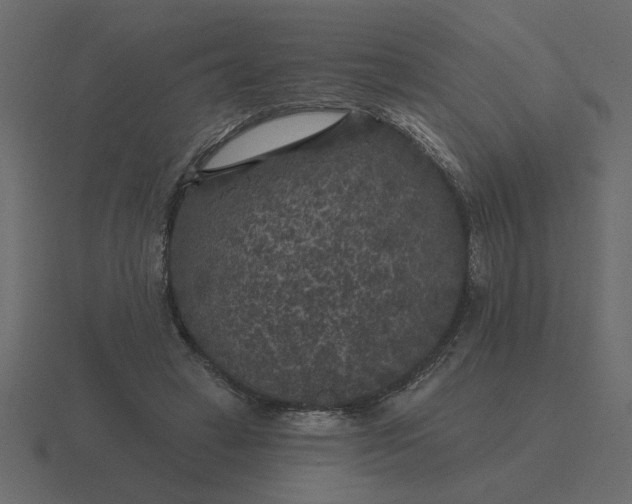 X0000116610449200912241736