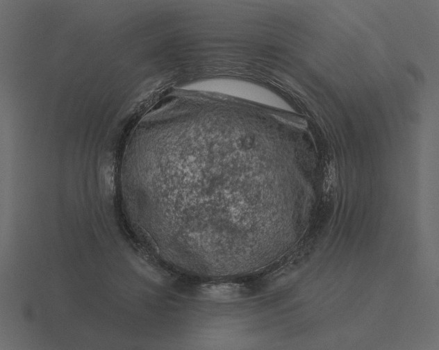 X0000116610452200912241736