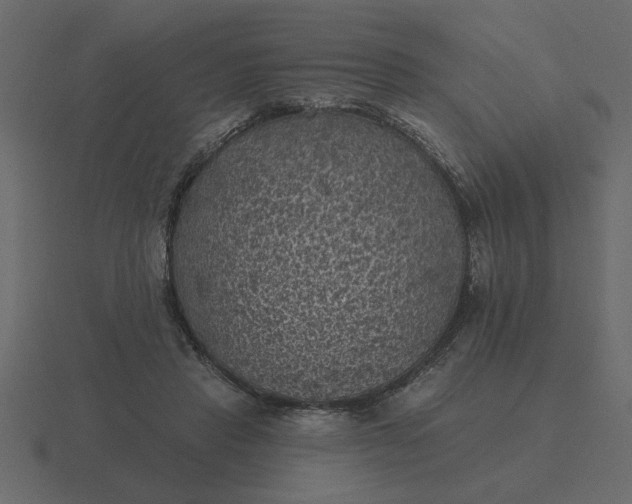 X0000116610453200912241736