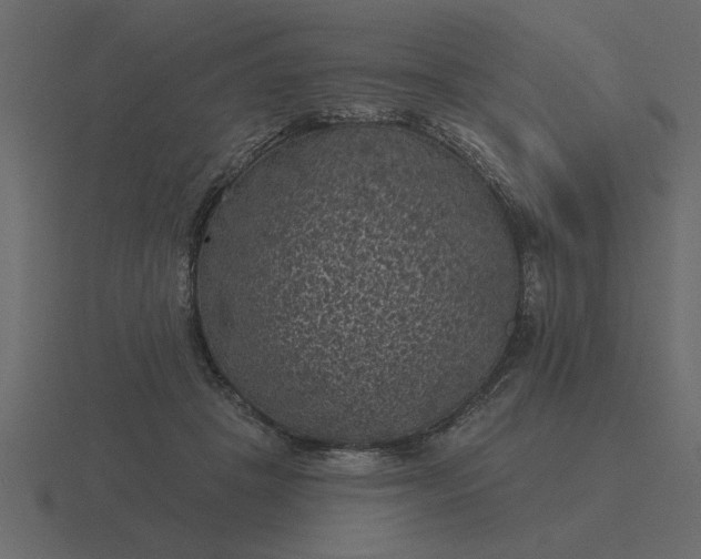 X0000116610457200912241736