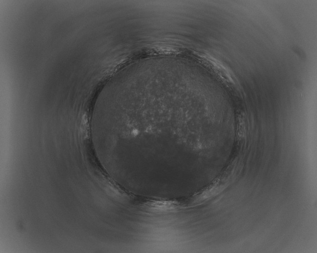 X0000116610465200912241737