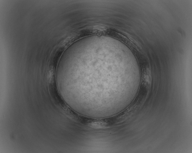 X0000116610468200912241737