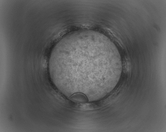 X0000116610472200912241737