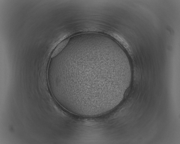 X0000116610481200912241736