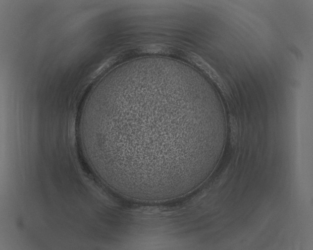 X0000116610482200912241736