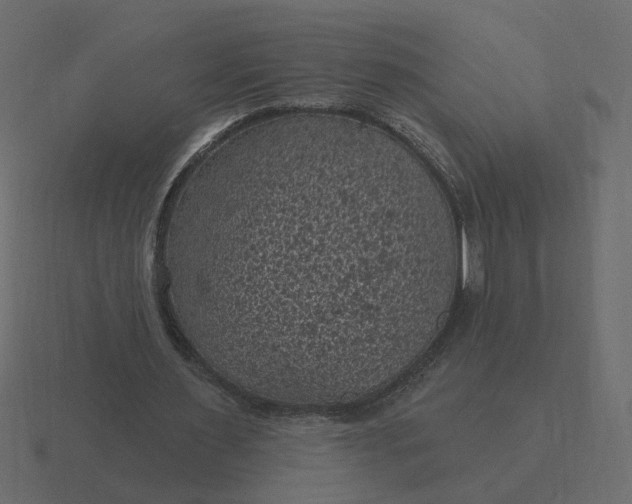 X0000116610483200912241736