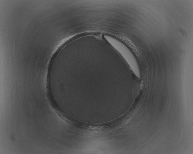 X0000116610484200912241736