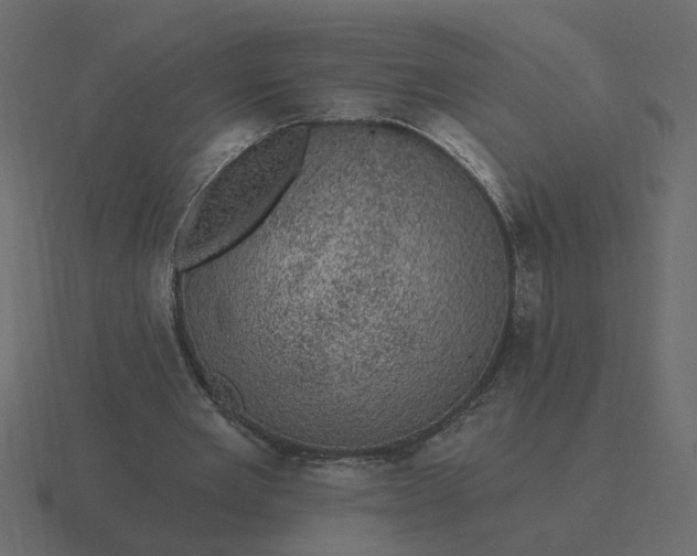 X0000116610485200912241736