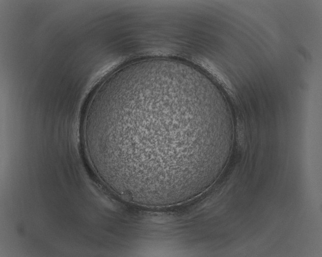 X0000116610486200912241736