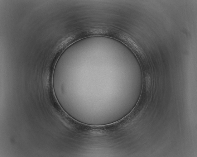 X0000116610490200912241736