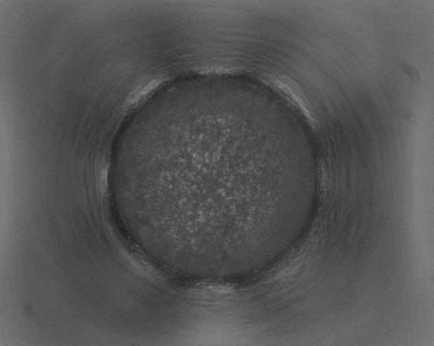 X0000116610491200912241736