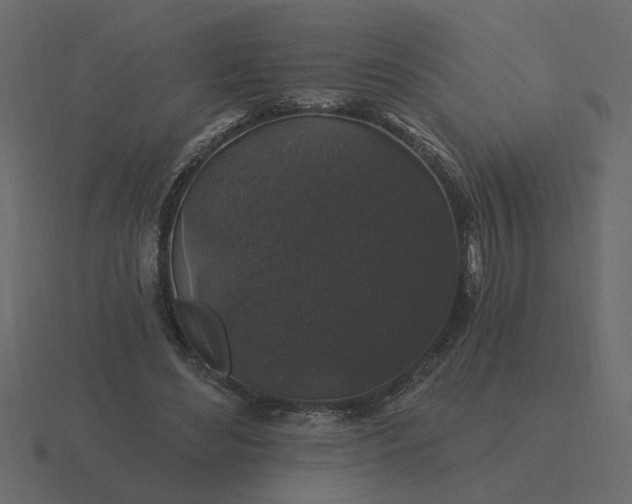 X0000116610492200912241736