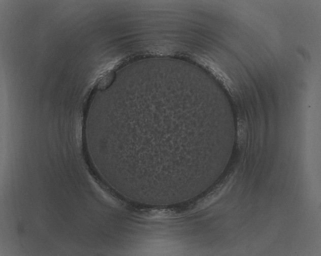 X0000116610493200912241736