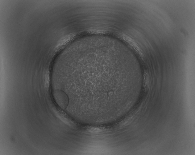 X0000116610494200912241736