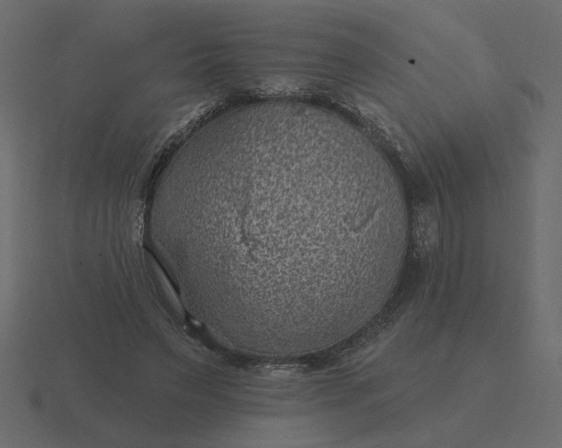 X0000116610495200912241736