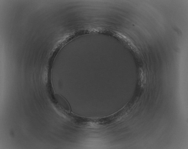 X0000116610496200912241736