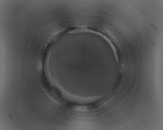 X0000116610500200912241736