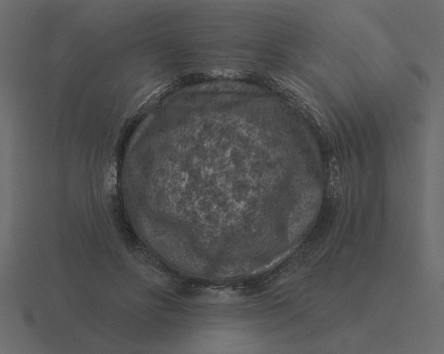 X0000116610502200912241736