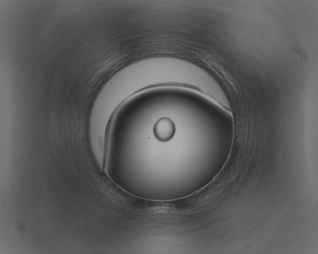 X0000116610505200912241736