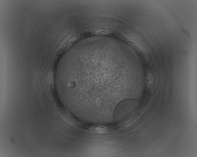 X0000116610506200912241736