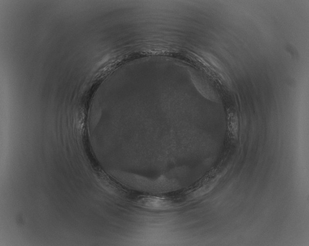 X0000116610507200912241736