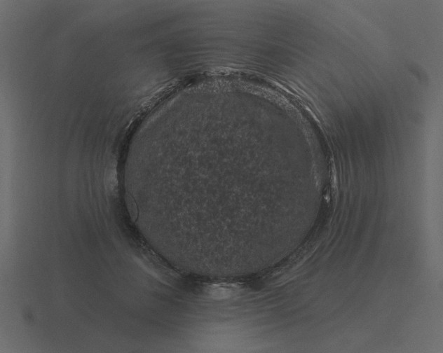 X0000116610508200912241736