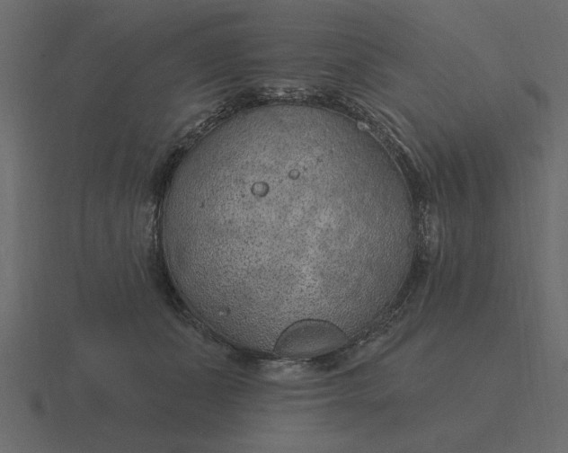 X0000116610511200912241736