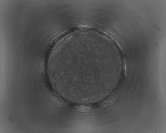 X0000116610512200912241736