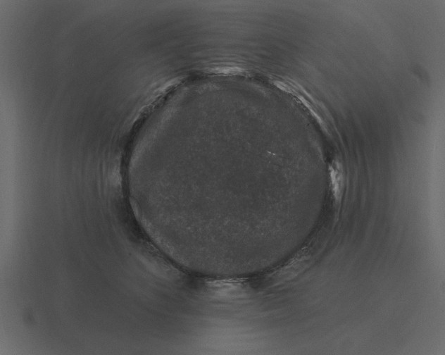 X0000116610516200912241736