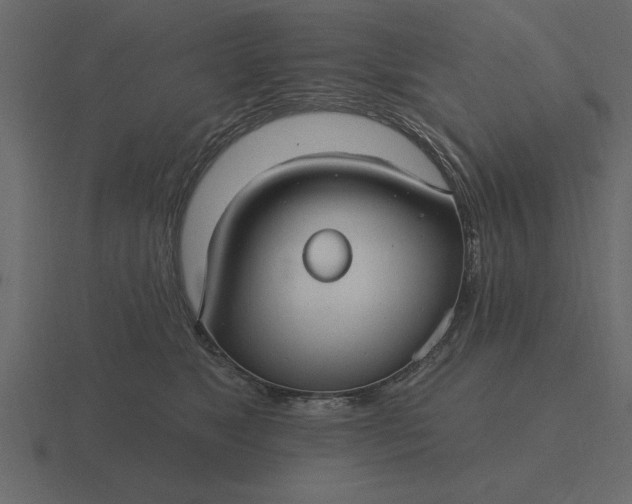 X0000116610517200912241736