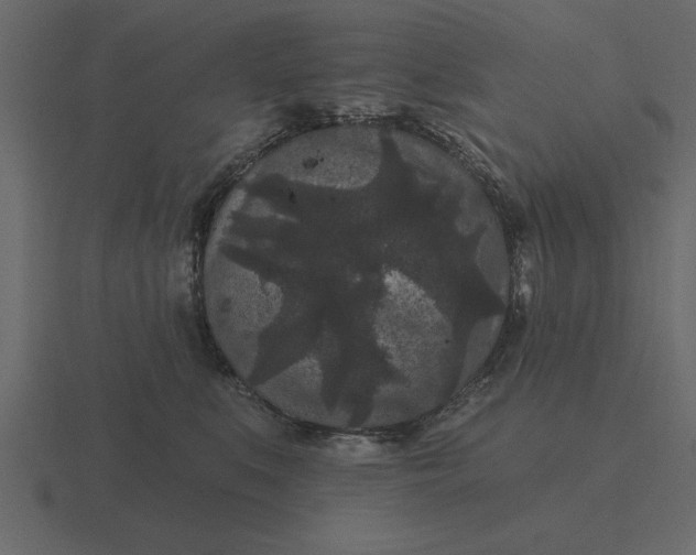 X0000116610519200912241736