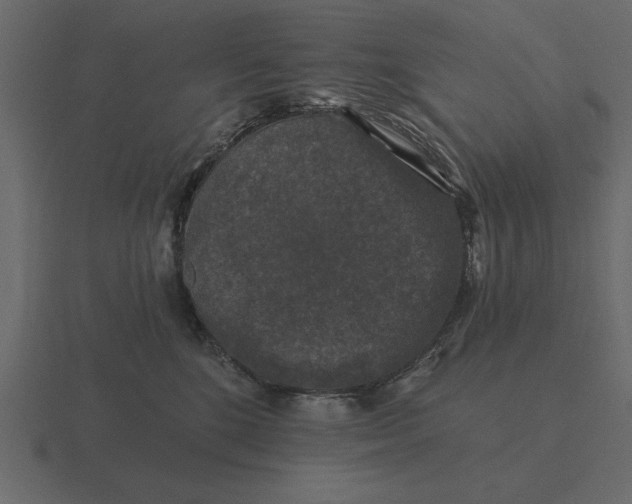 X0000116610520200912241736