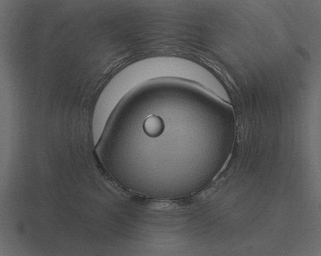 X0000116610521200912241736