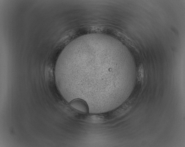 X0000116610522200912241736