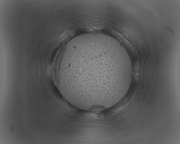 X0000116610523200912241736