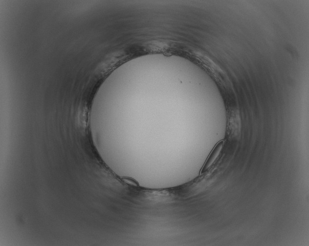 X0000116610525200912241736