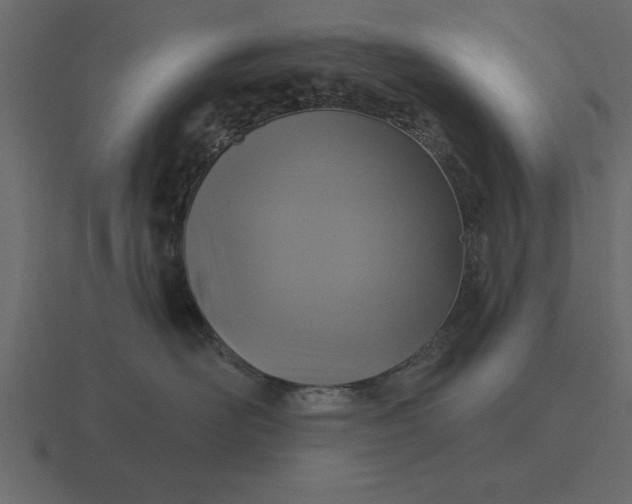 X0000116610526200912241736