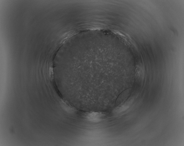 X0000116610527200912241736