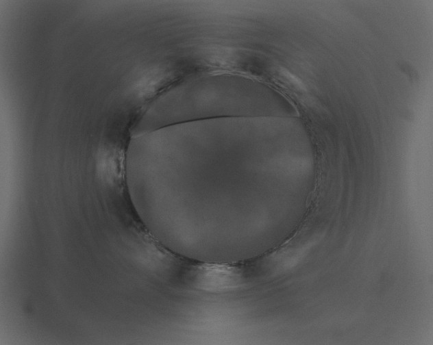 X0000116610528200912241736