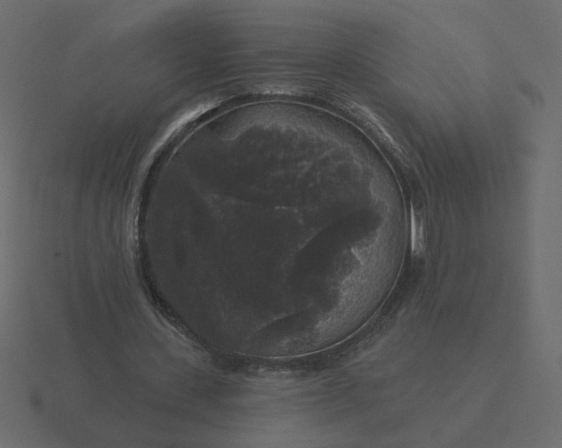 X0000116610531200912241735