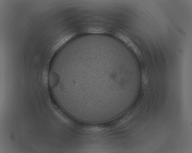 X0000116610533200912241735