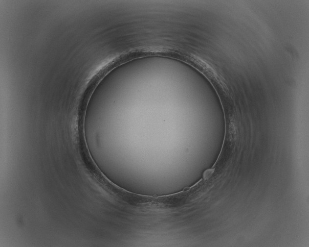 X0000116610535200912241735