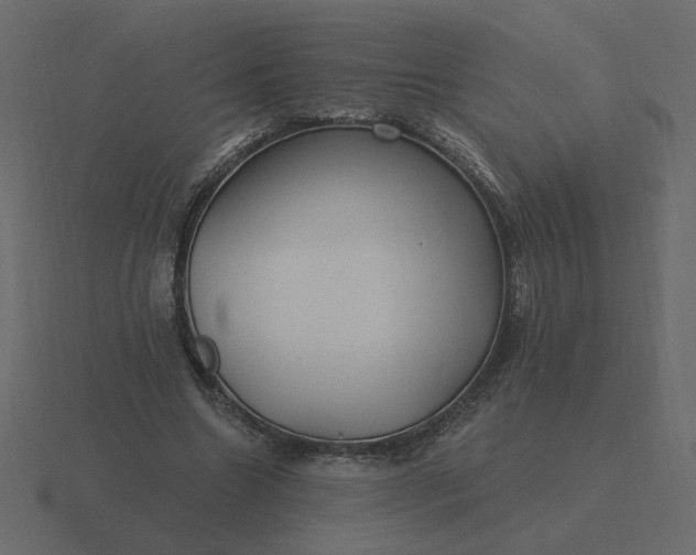 X0000116610538200912241735