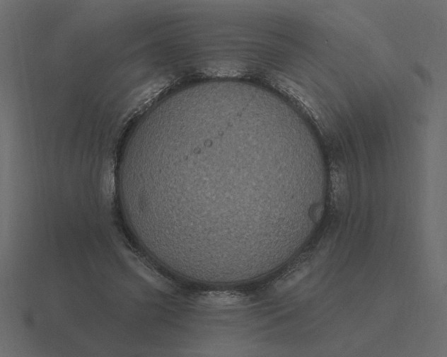 X0000116610541200912241735